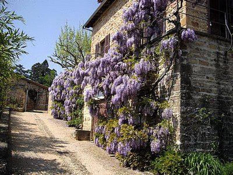 Contact Le Savigny &